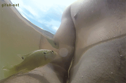 11e4b7f2dba9fd740b3fca83ba718303_1784175066_2661.gif