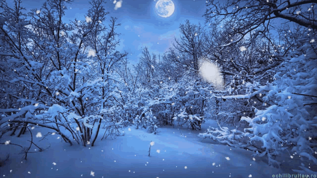 6d49fe7f4baccde544d03cc139530961_1784978510_1157.gif