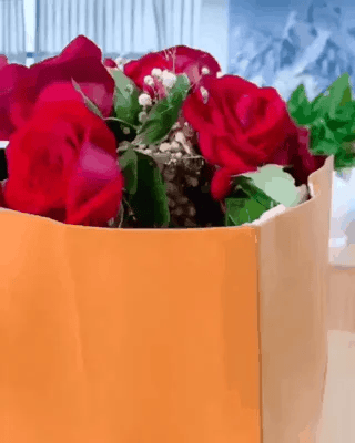 bc590c451f6e5735fcf7fbbf290aa344_1784594724_4137.gif