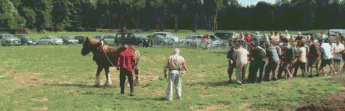 f59305e6fe44f92ee954bb4067a90f59_1784563406_7436.gif