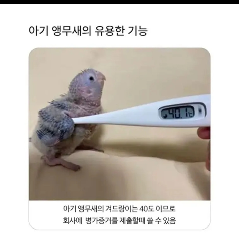 0e5e61e976d2d5590de6bb8d771e5c30_1785466872_6293.jpg