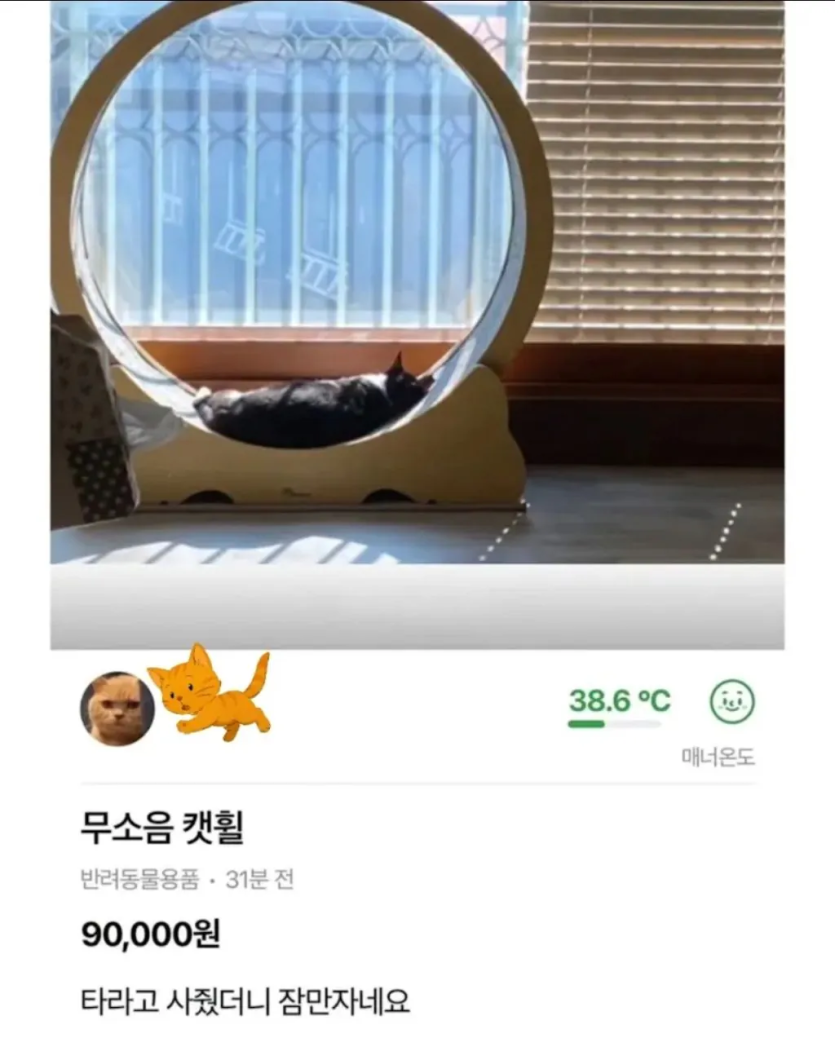 18e345733769e76ca956985cb250fa39_1784325820_6937.png