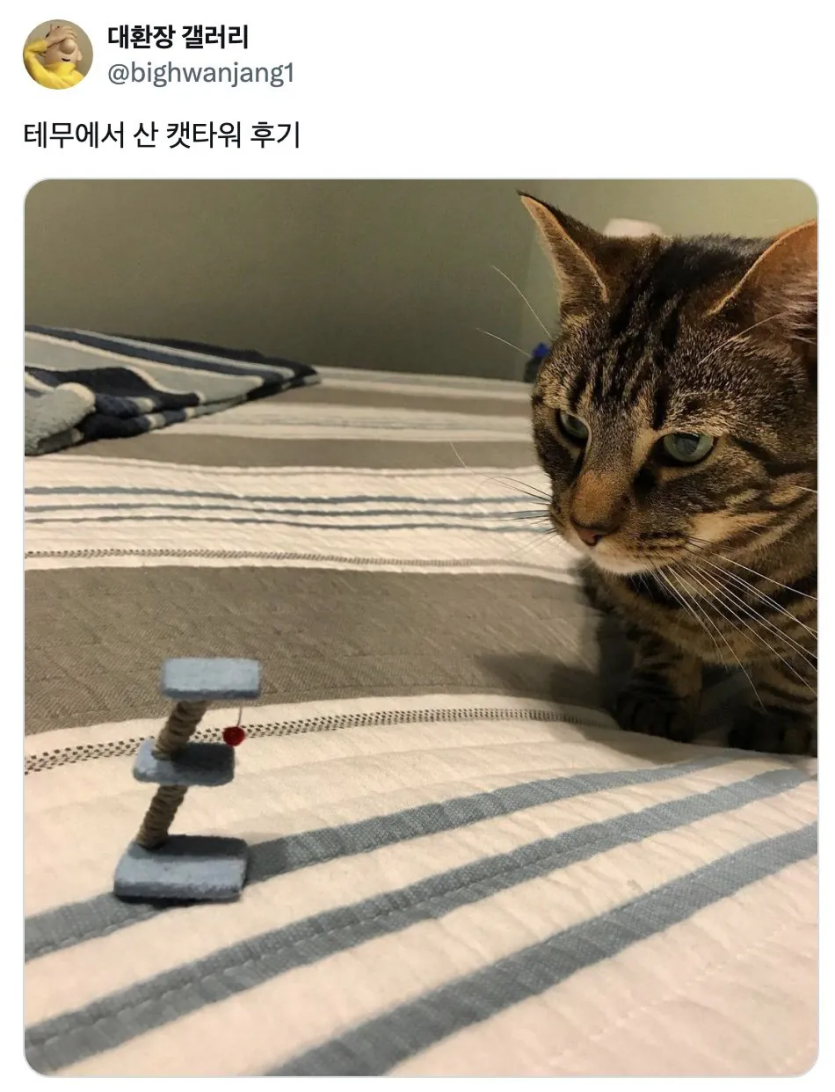 4e9bb78d5563e85938656278cf802b16_1784502028_8322.png