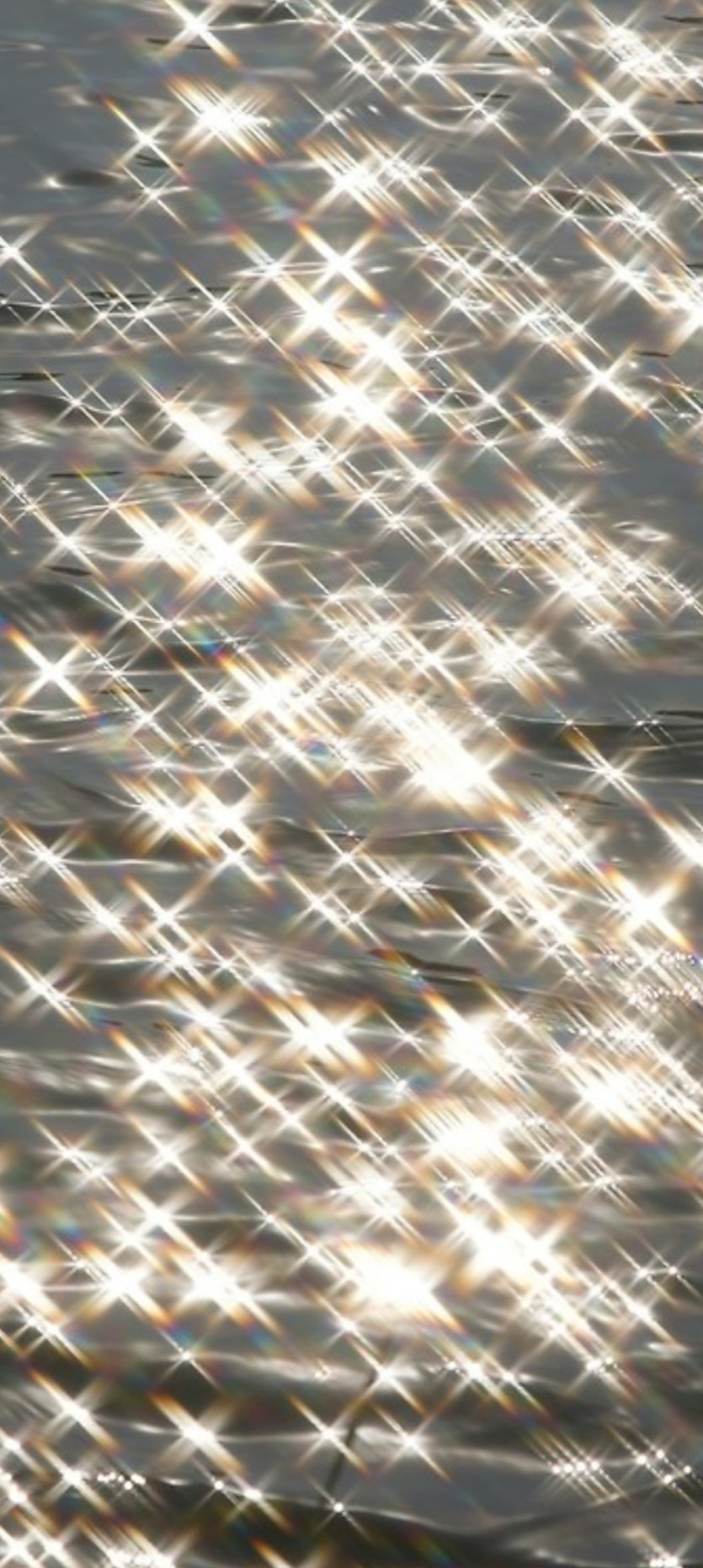 5d6f91773696a605decc476cc6f7a4e2_1784670403_5138.jpg