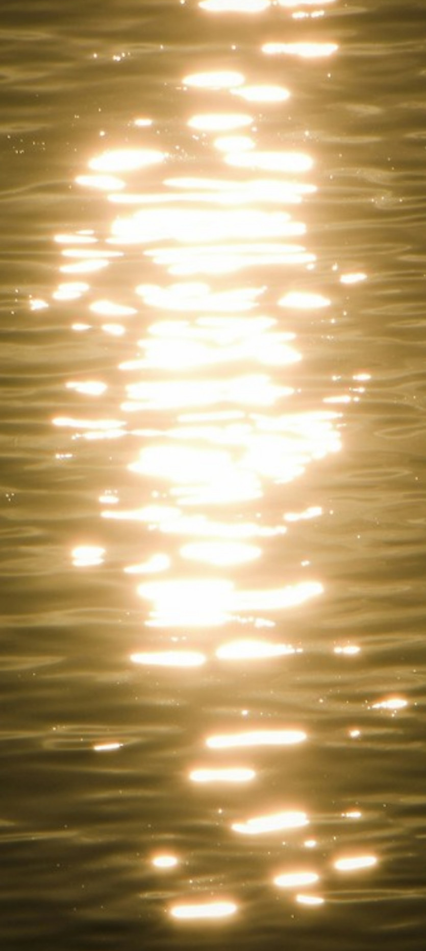 8acf123cb4b703983b6d375937465614_1785036364_4899.jpg