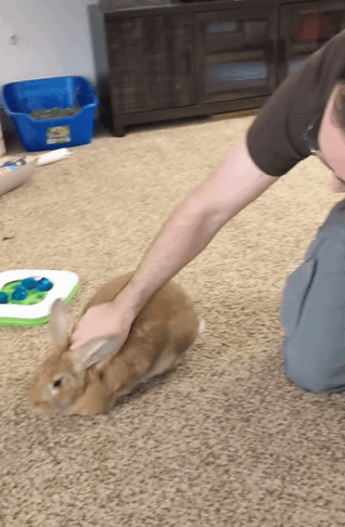 140849a581eb8b4d7bf12ede09c124c5_1786218240_5542.gif