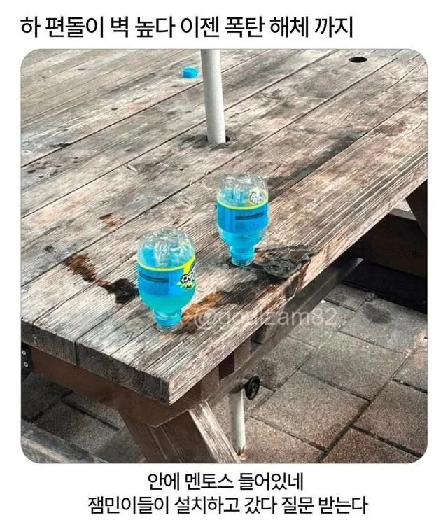 1e00215e1b57592699c861a15bbd5dda_1786654567_0416.png