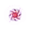 2538a24ebbe083ef88694406c3e97be8_1786550938_9943.gif