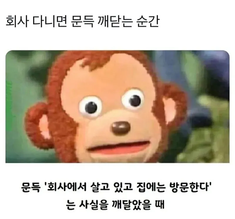 2f03d78a9b5f5d6ffb34afc75a602e02_1785711670_4343.png