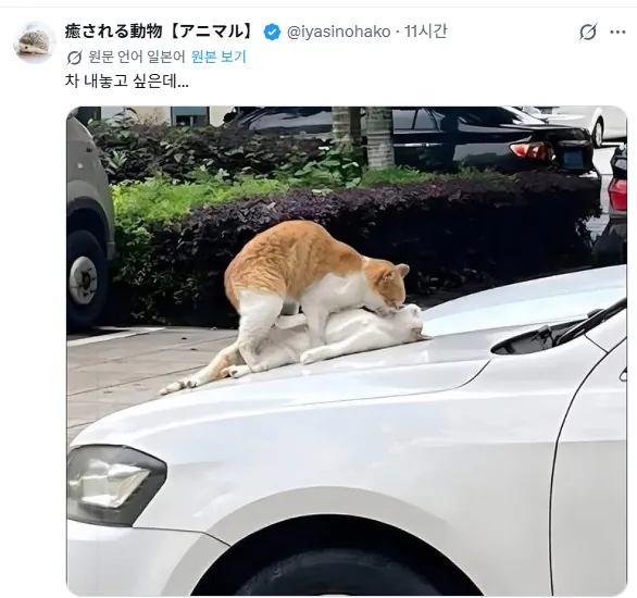 7d04e90a89ab1c013948bb1a89999290_1786051739_686.png