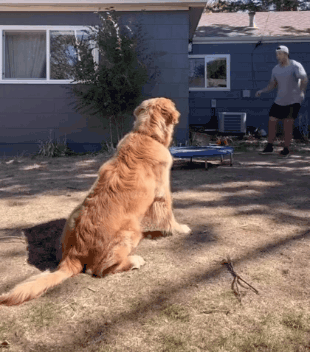 a482312002fe93ef47ec1b19f56951ac_1786405132_3983.gif