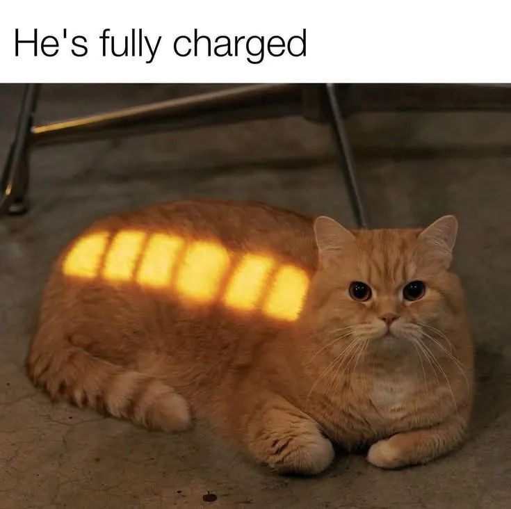 c08c01c4b8d9d989b24de24121452950_1786140106_6538.png
