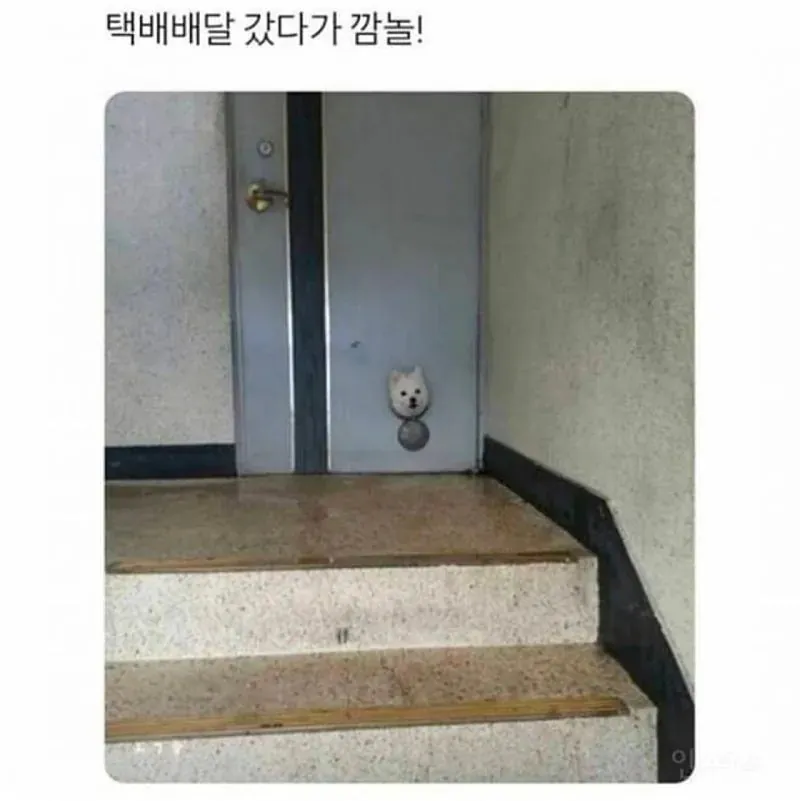 c1e1f20c7e09a20d2e76acad09db4af0_1785887286_8851.png