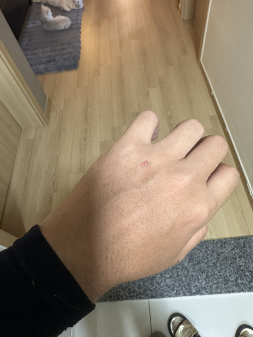 170a37d39443c825c58326f27598a550_1786003623_6851.jpeg