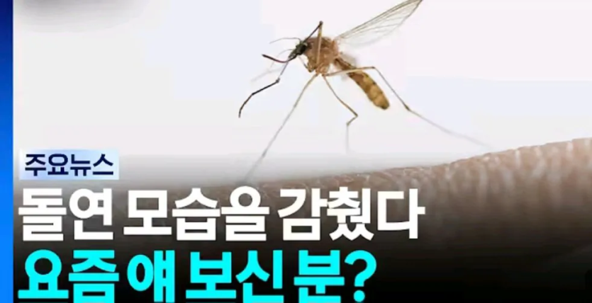 43d1152750cccc23bdb4809d1823ade6_1786054546_0295.png