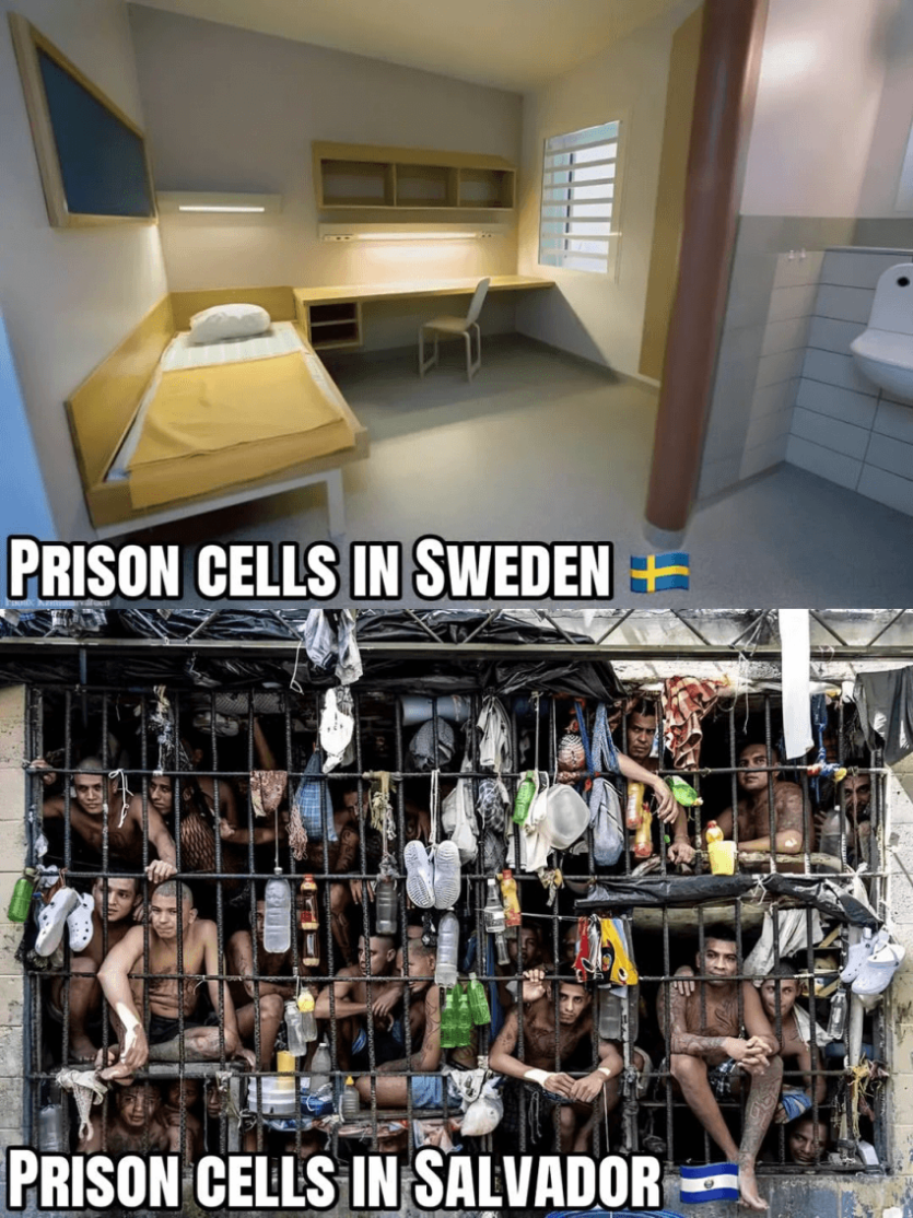 b9a9a98e2cd4f04284c1863d92f647d5_1786141065_8689.png