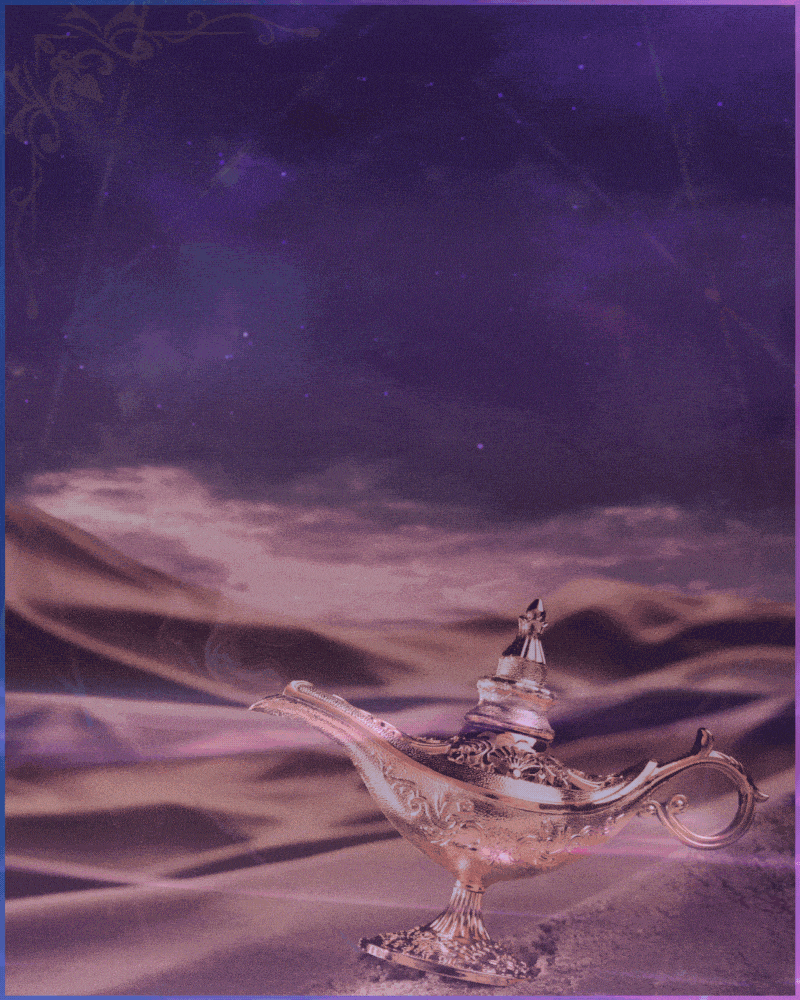 064b27fcf2654b8d606539ffd98b9791_1771993139_2676.gif